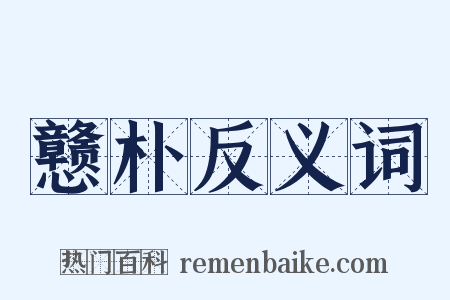 戆朴反义词是什么意思的图片